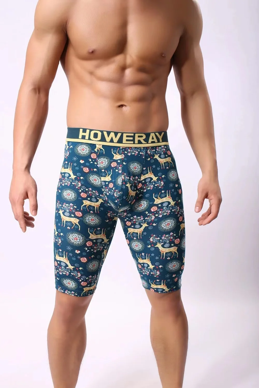 2pcs Long Men Boxer Underwear Men Underware Boxer Shorts Mens Cotton Long Leg Underpants for Brand Quality Sexy Pouch Panties