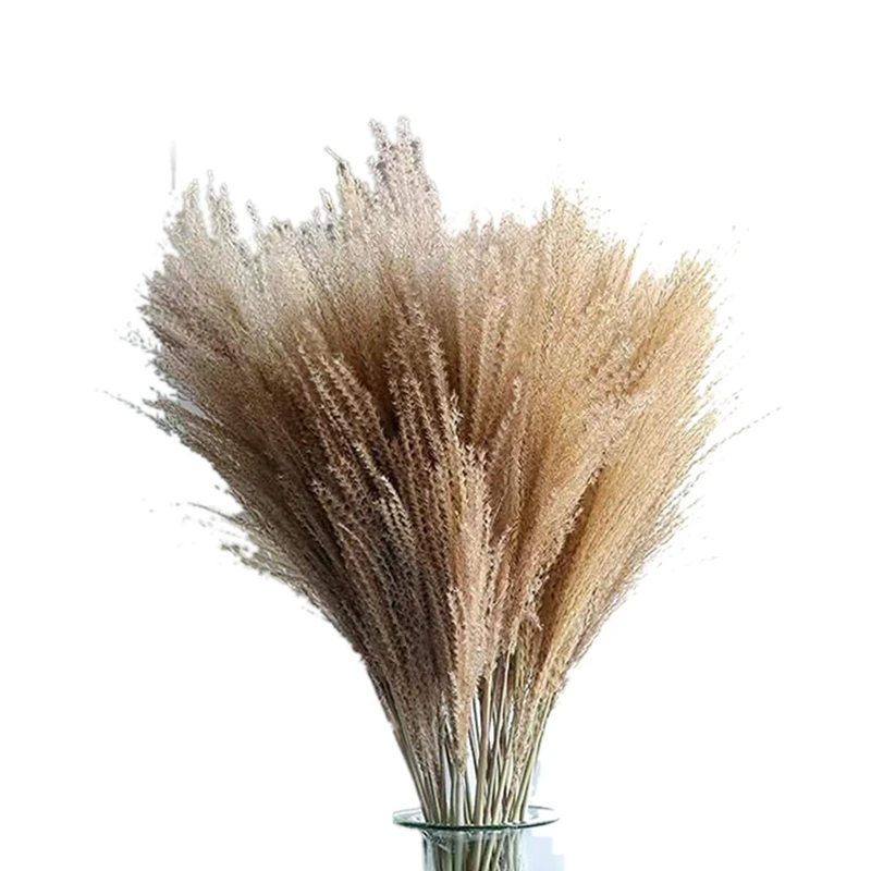 

A50I 100 Pcs Dried Pampas Grass Decor,Raw Color,17.7Inch Tall Plants For Wedding Bouquets Arrangements Or Boho Home Decor