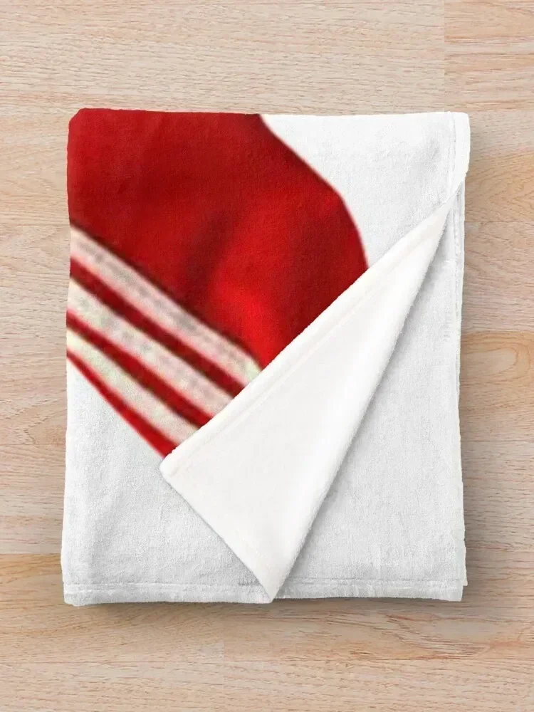 Сью Сильвестер Мадонна Плед Роскошные дизайнерские тяжелые декоративные одеяла