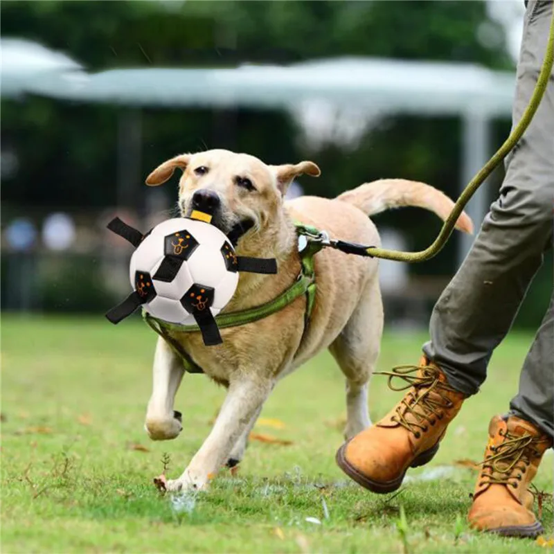 

Интерактивные игрушки для собак тренировочные игрушки для собак на открытом воздухе, жевательная игрушка для питомцев, для маленьких и сре...