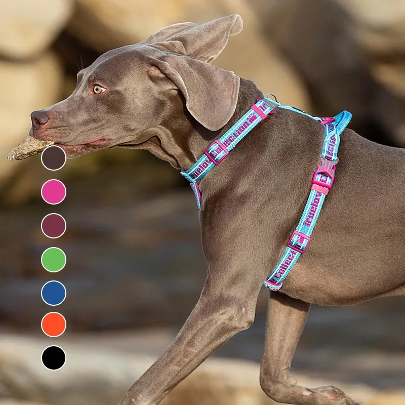 

Soft Padded Dog Harness Easy on And Off Nylon Adjustable Car Harness Belt Reflective for Outdoor Training Walking Pet Supplies