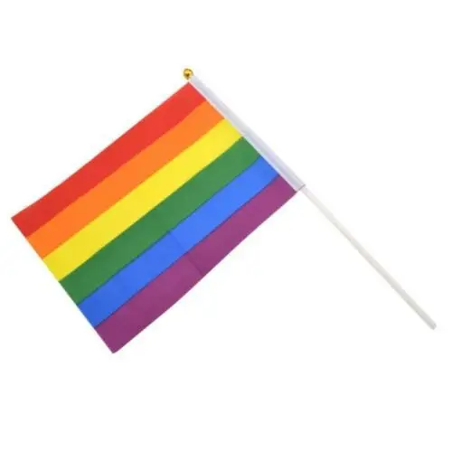 14X21cm Holding Rainbow Flag LGBT Hand Waving Gay Pride Festive Home Decor Party |