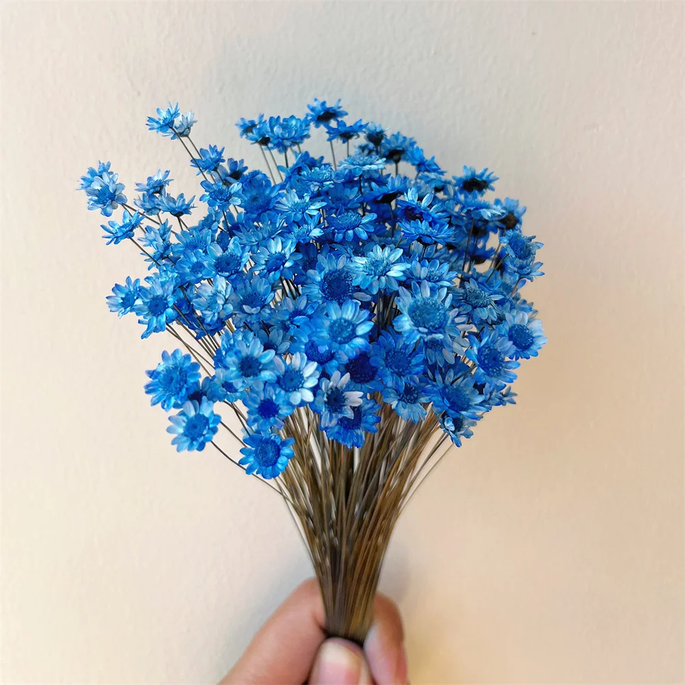 

Сухоцветы Ромашка, 200 шт.