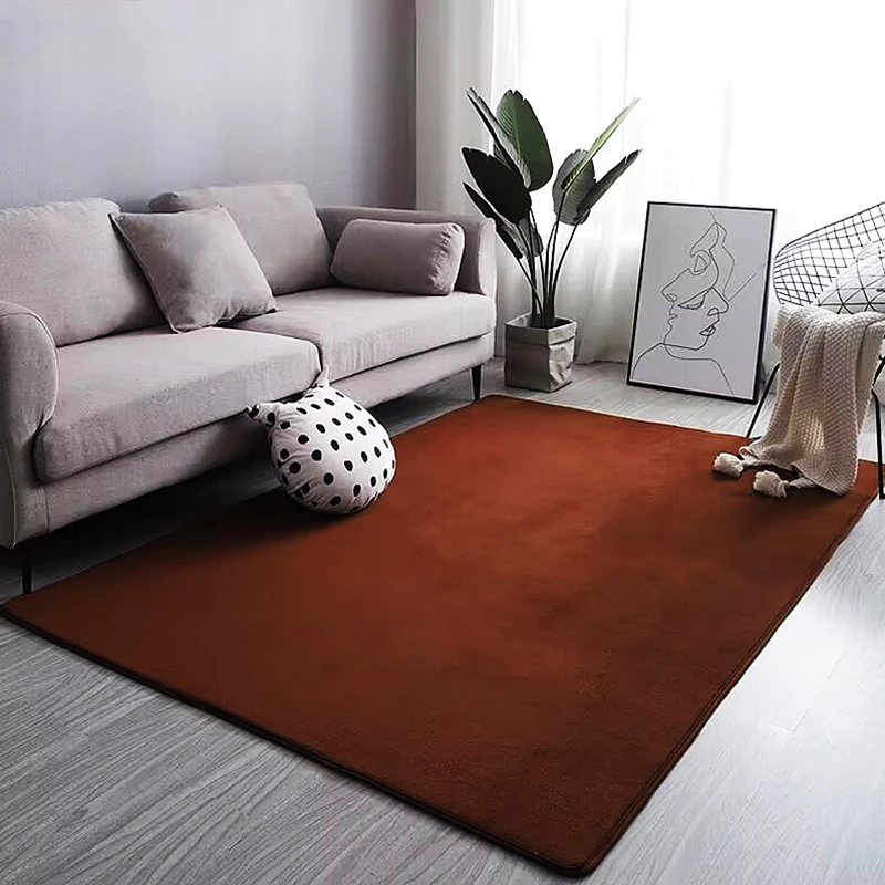 

New Large Fluffy Nordic Coral Velvet Rug Carpets for Living Room Soft Home Decor Bedroom Kid Room Plush Decoration Salon Carpet