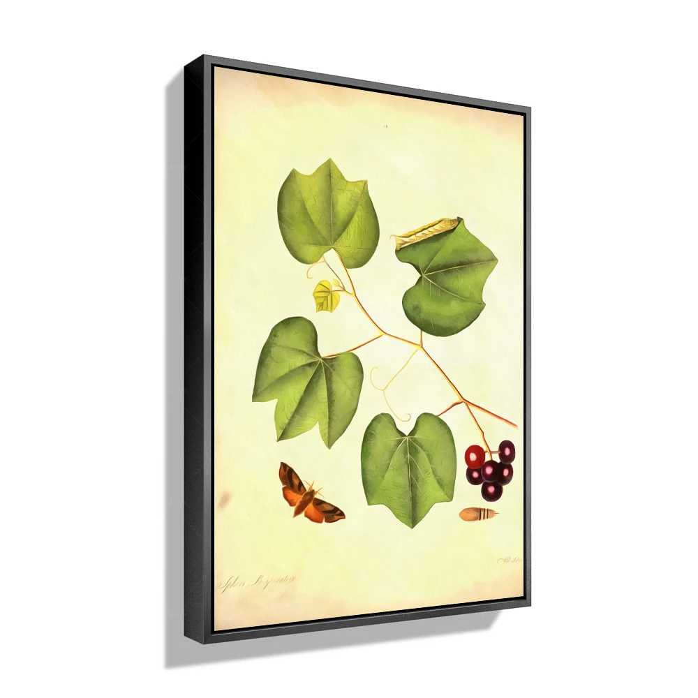 

Абстрактная и цветочная раскраска от ForBeauty