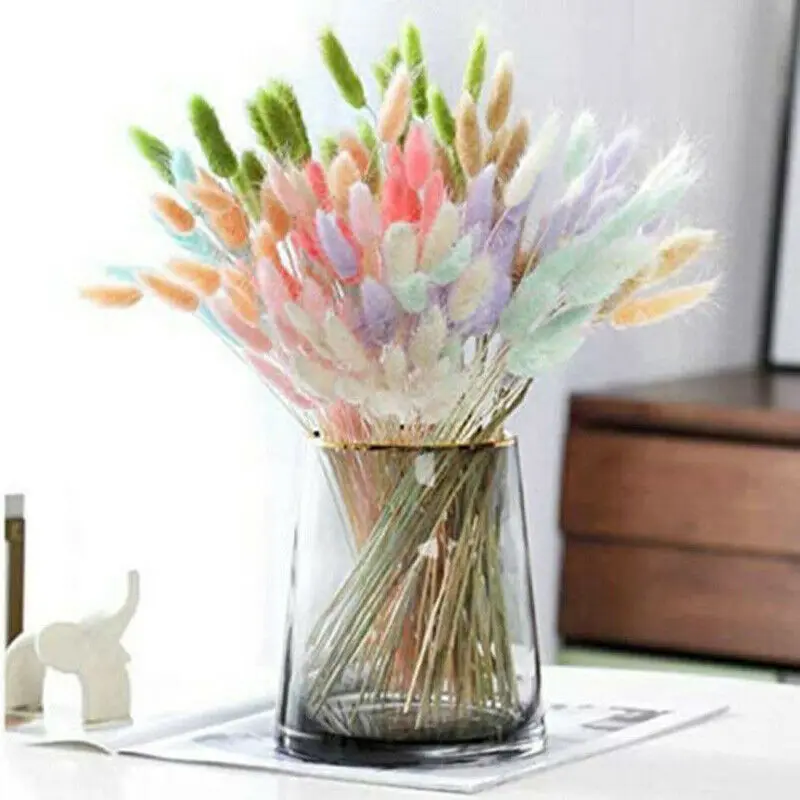 

50Pcs Dried Flower Home decor lagurus ovatus Rabbit tail grass garden decoration for wedding hotel dining room