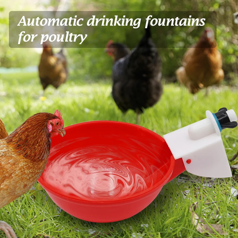 Чашка-поилка для птицы автоматическая пластиковая чаша воды оборудование