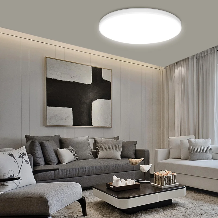 AC220V Светодиодный отсос крыши 12W / 24W 36W 48W Гостиная Круглая современная панель