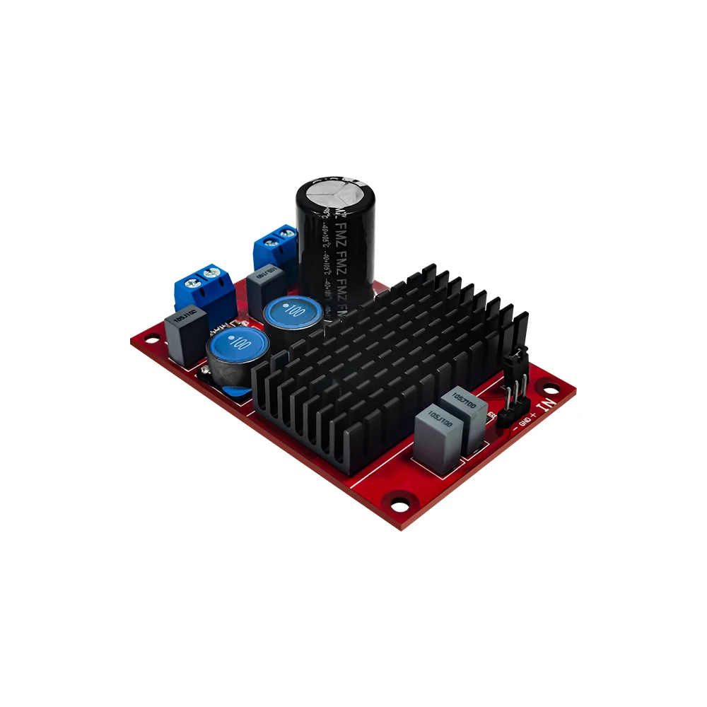 Плата цифрового усилителя мощности TPA3116 12-24 В постоянного тока моно-выход с