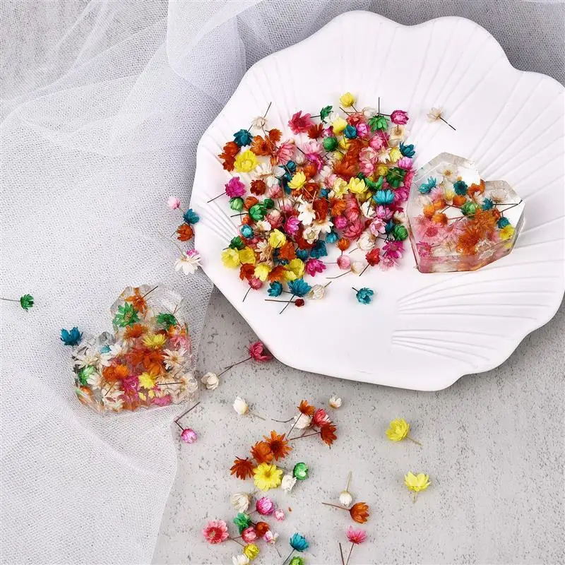 100/200PCS Real Dried Flowers Brazil Little Star Flower For DIY Art Craft Epoxy Resin Candle Making Jewellery |