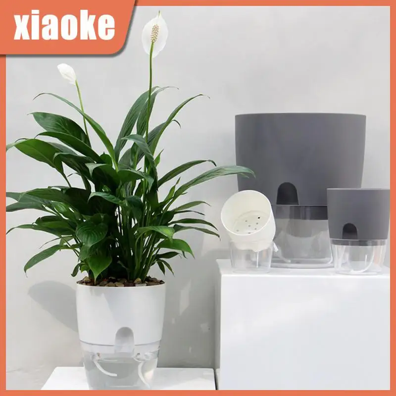 

Plastic Indoor Golden For Indoor Plants Small Plant Pot Transparent Double Layer Cotton Rope Cotton Rope Self Watering