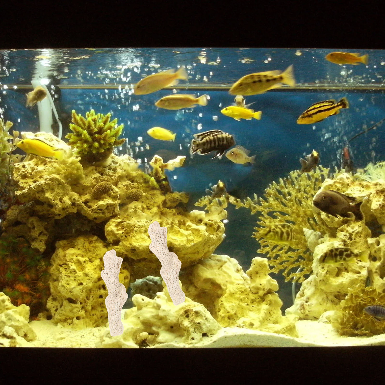 Коралловый фильтр для аквариума натуральный аксессуары дробленая пресноводная