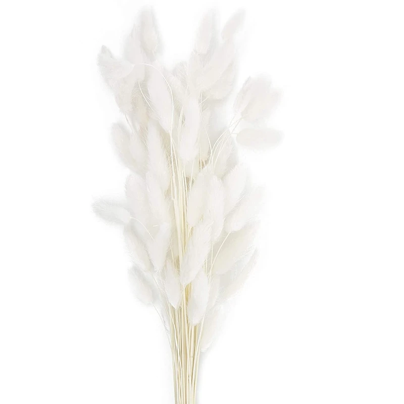 

60 натуральных сушеных цветов лагуруса оватуса, настоящий букет с кроличьим хвостом, сушеные пампасные цветы, украшение
