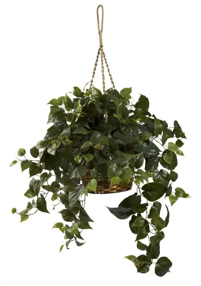 

Plastic/Polyester Philo Plastic Artificial Plant Hanging Basket, Green Storage shed Chicken wire Garden Expandable faux privacy