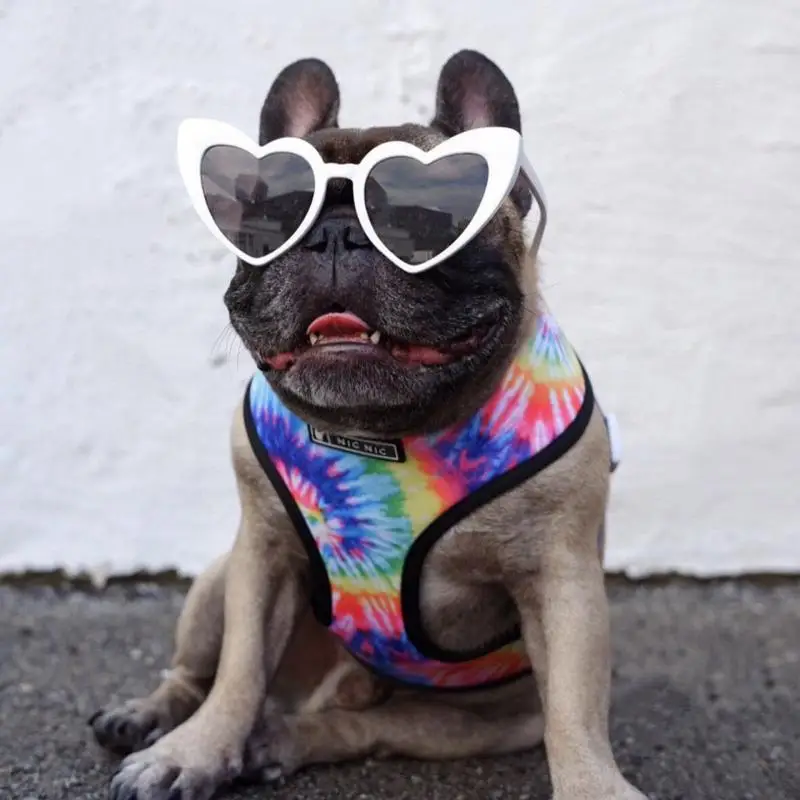 

Polyester Dog Cat Harness Vest Printed French Bulldog Harness Set Puppy Small Medium Dogs Cats Harness For Chihuahua Walking