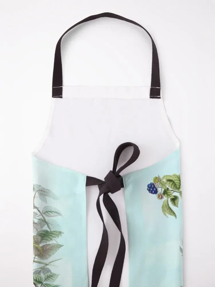 Белая земляник Warbler Кремнерея Сильвия Антикварная птица Принт HC Richter Фартук Птицы