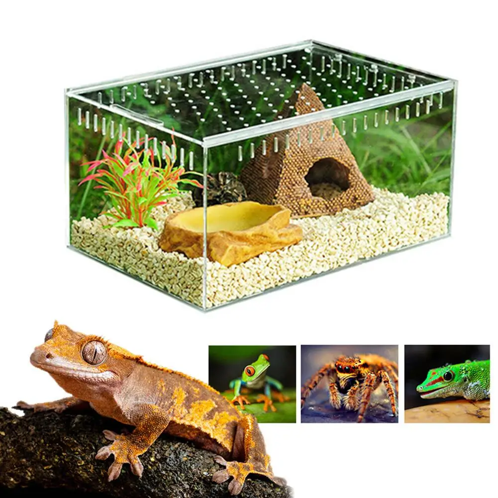 

Reptile Breeding Box Acrylic Transparent Sliding Cover Reptile Tank Insect Spiders Tortoise Lizard Feeding Box Terrarium