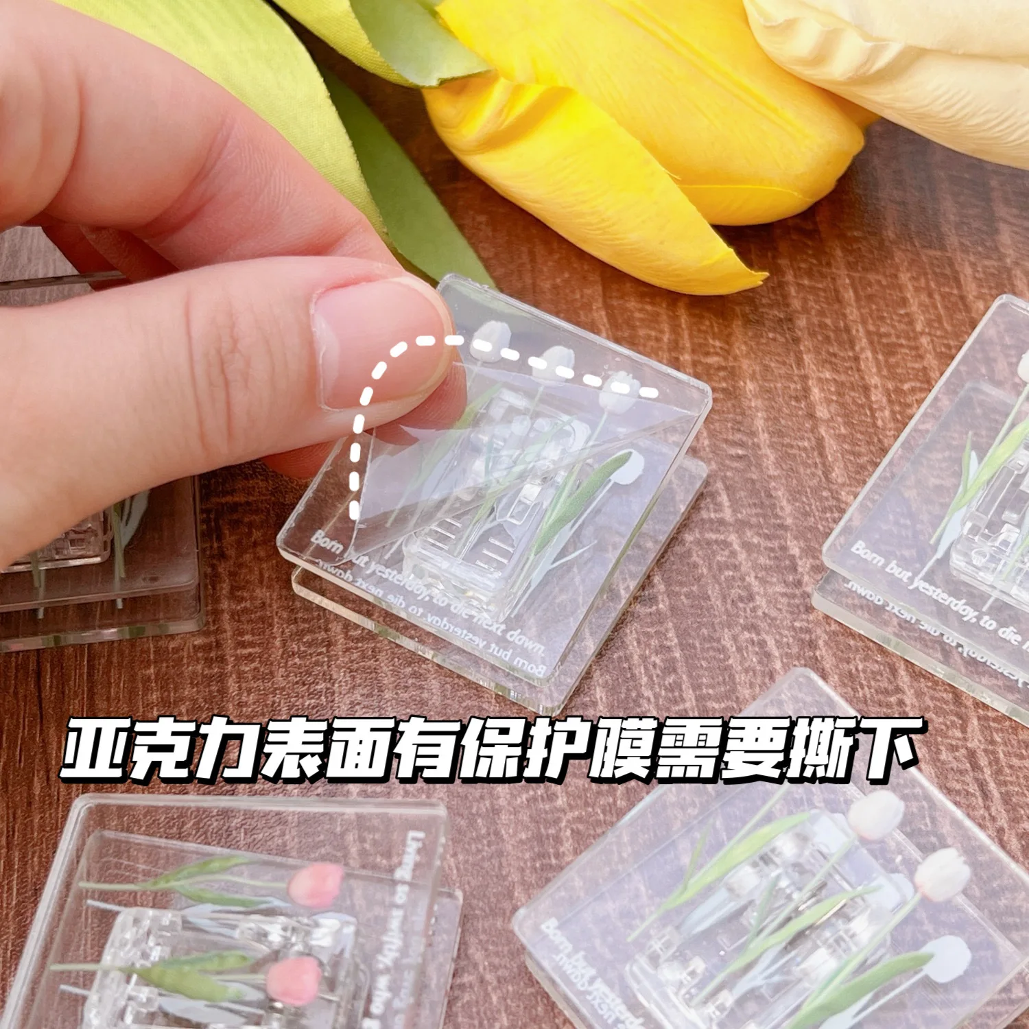 3 Pieces of Tulip Folder Acrylic Simple Long Tail Color Square Candy Manual Account Arrangement | File Folders