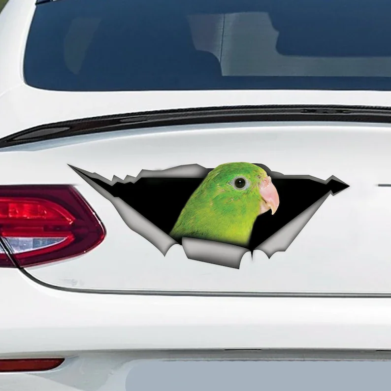 

parrotlet female Funny dog car sticker crack vinyl car stickers car decals decorative goods window pvc motorcycle accessories