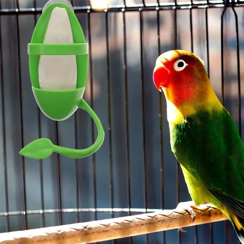 

1 Set Cuttlebone Parrot Feeding Bracket Hanging Feeding Bird Bowl Bird Feeder