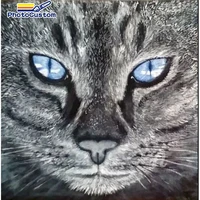 photocustom cat picture by number animal kits for adults handpainted painting by number animals home decoration diy frame