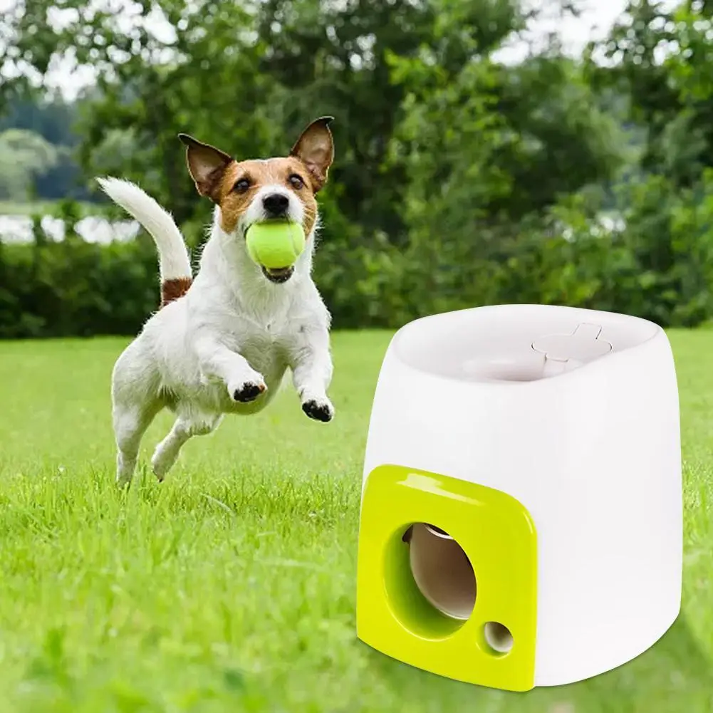 

Pet Interactive Reward Machine Dog Pet Training Toys Automatic Tennis Throwing 1 Machine With Balls Launcher B1Q9