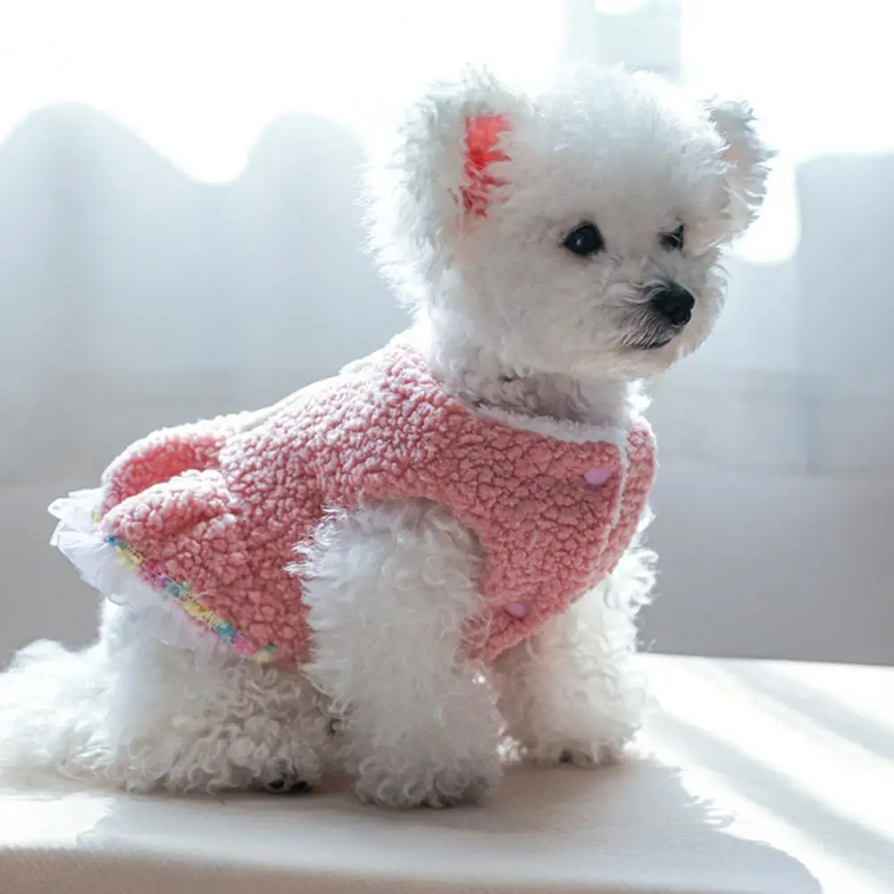 

Dog Skirt Rainbow Lace Cartoon Pattern Thickened Soft Comfortable Keep Warm Polyester Fiber Sweet Ladylike Dog Dress for Autumn