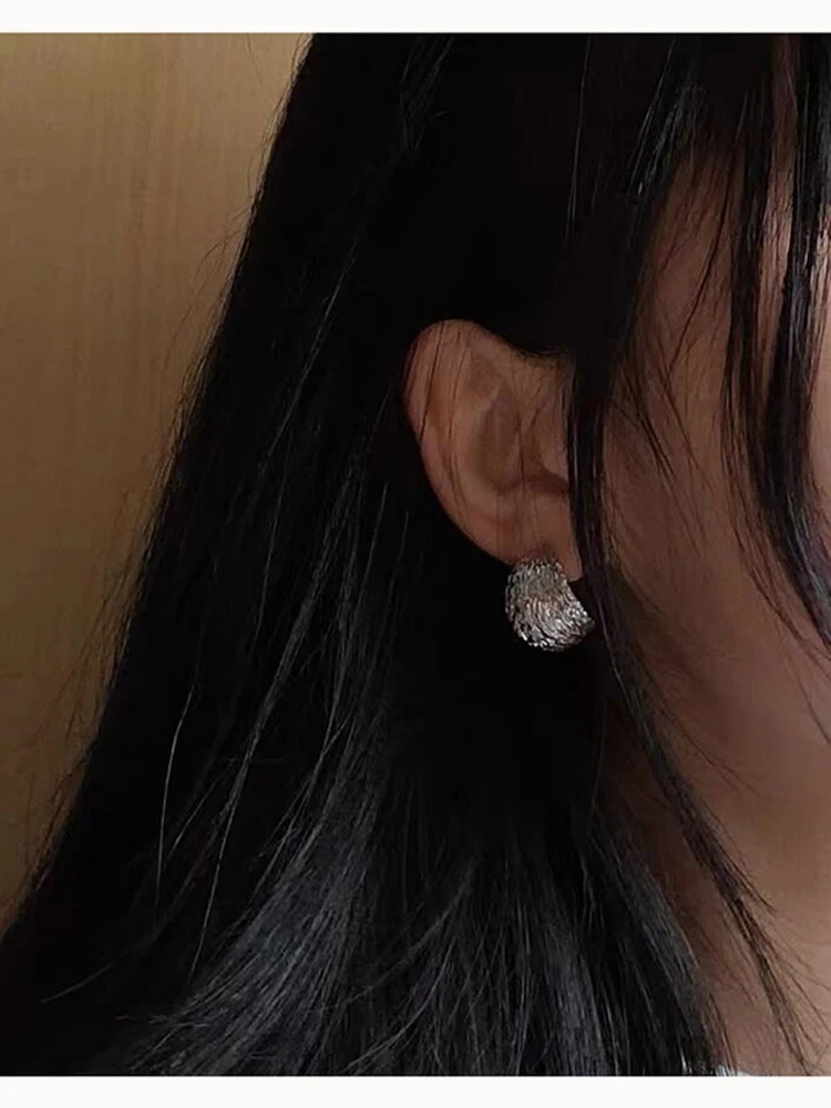 South korea High-Grade Light Luxury Earrings Women Special Design Ins Cold Sle New Brushed