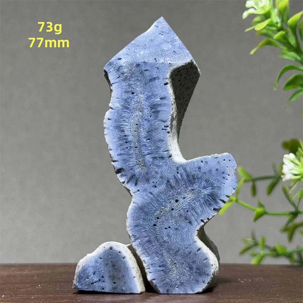 

Синий коралл, драгоценный камень