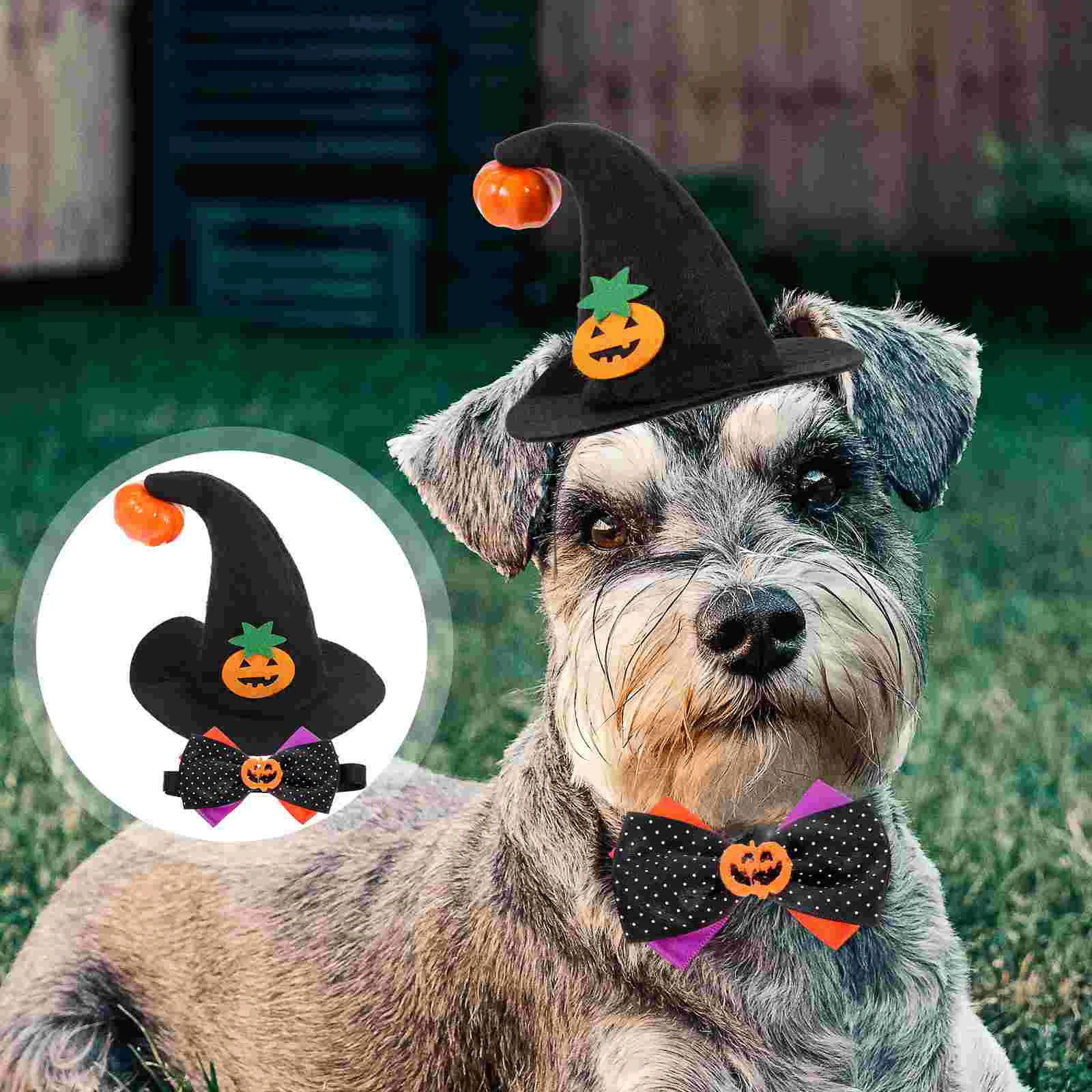 

Cats Costume Hat Dogs Pet Dog Accessories Witch Catcosplay Props Party Clothesscarf Pumpkin Role Play Set Dresskit Neckerchief