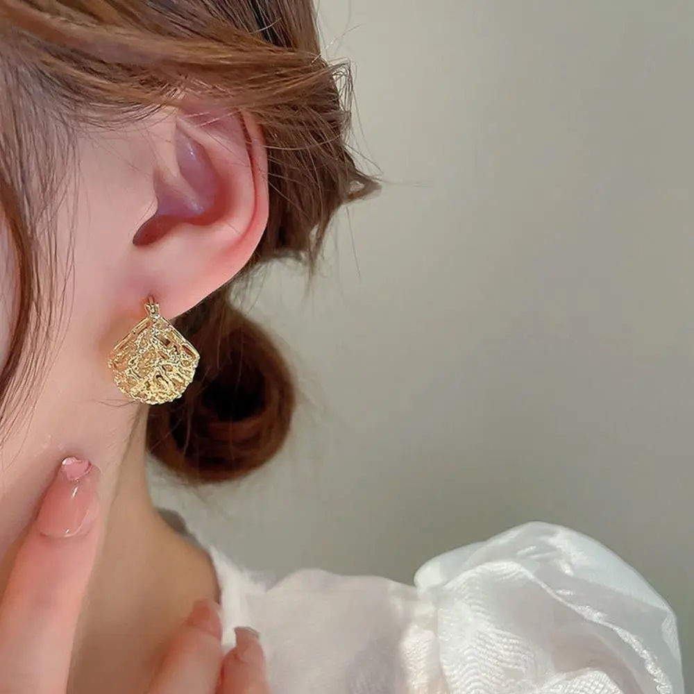 

Korean Fashion Hollow Personalized Metal Earrings for Women Elegant Basket Hoop Earrings Luxury Jewelry Gift