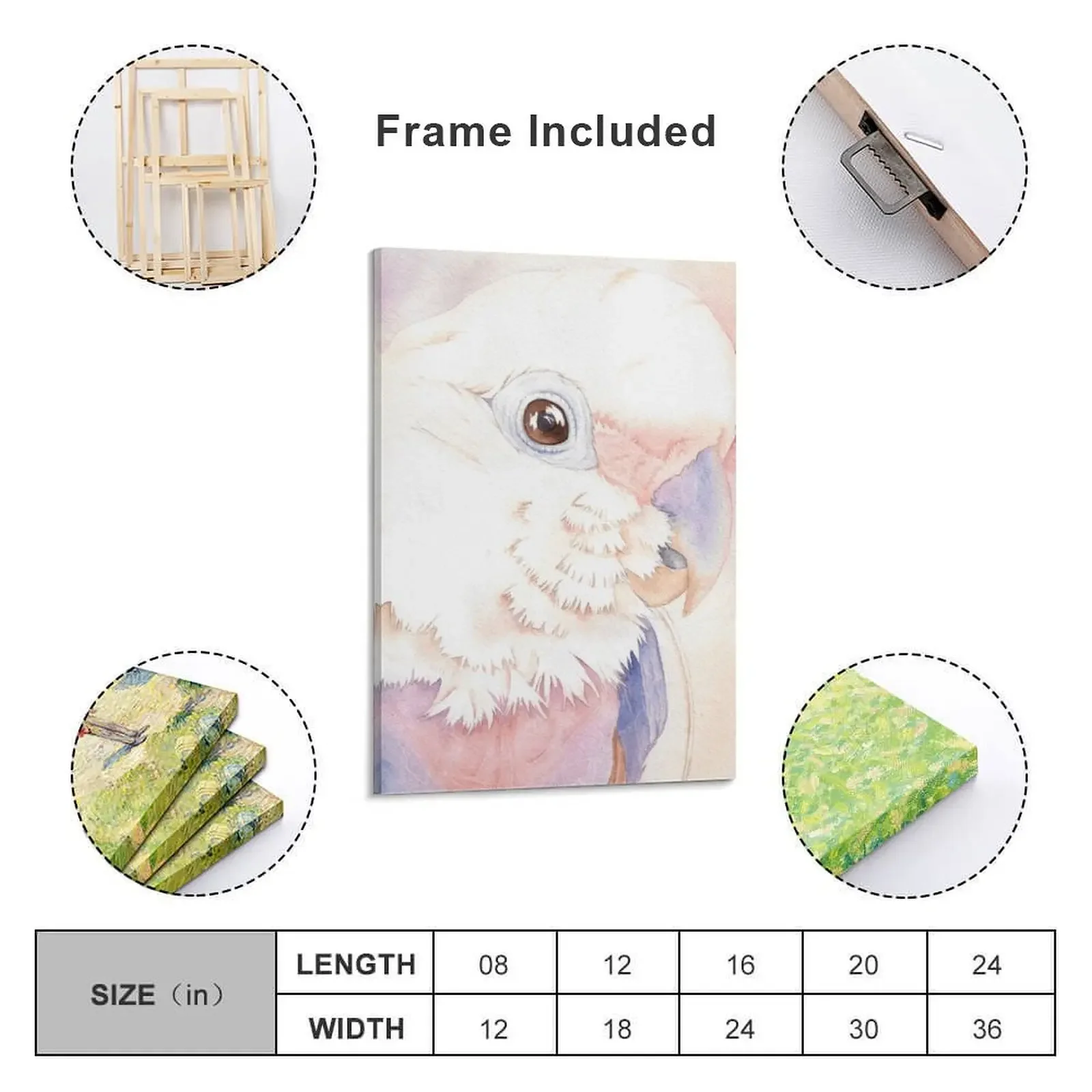 Goffin Tanimbar Corella Cockatoo акварельный портрет имя попугая Buckley холст живопись плакат