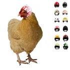 1 шт. курица шлем ПЭТ каску защитные Шестерни солнца защита от дождя игрушечный шлем со смешной птицей, кур-несушек небольшие товары для домашних животных