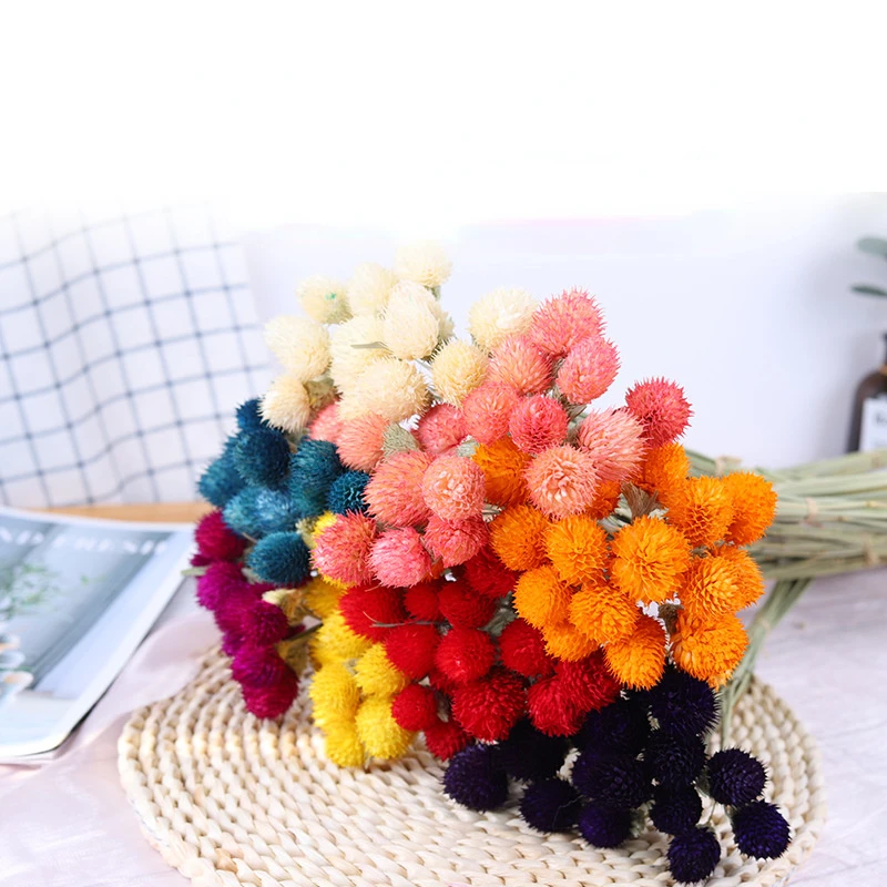

DIY Floral Display Rabbit Grass Plant 10pcs Dry Flower Nature Real Berry Flowers Wedding Bouquet Materials Home Room Party Decor