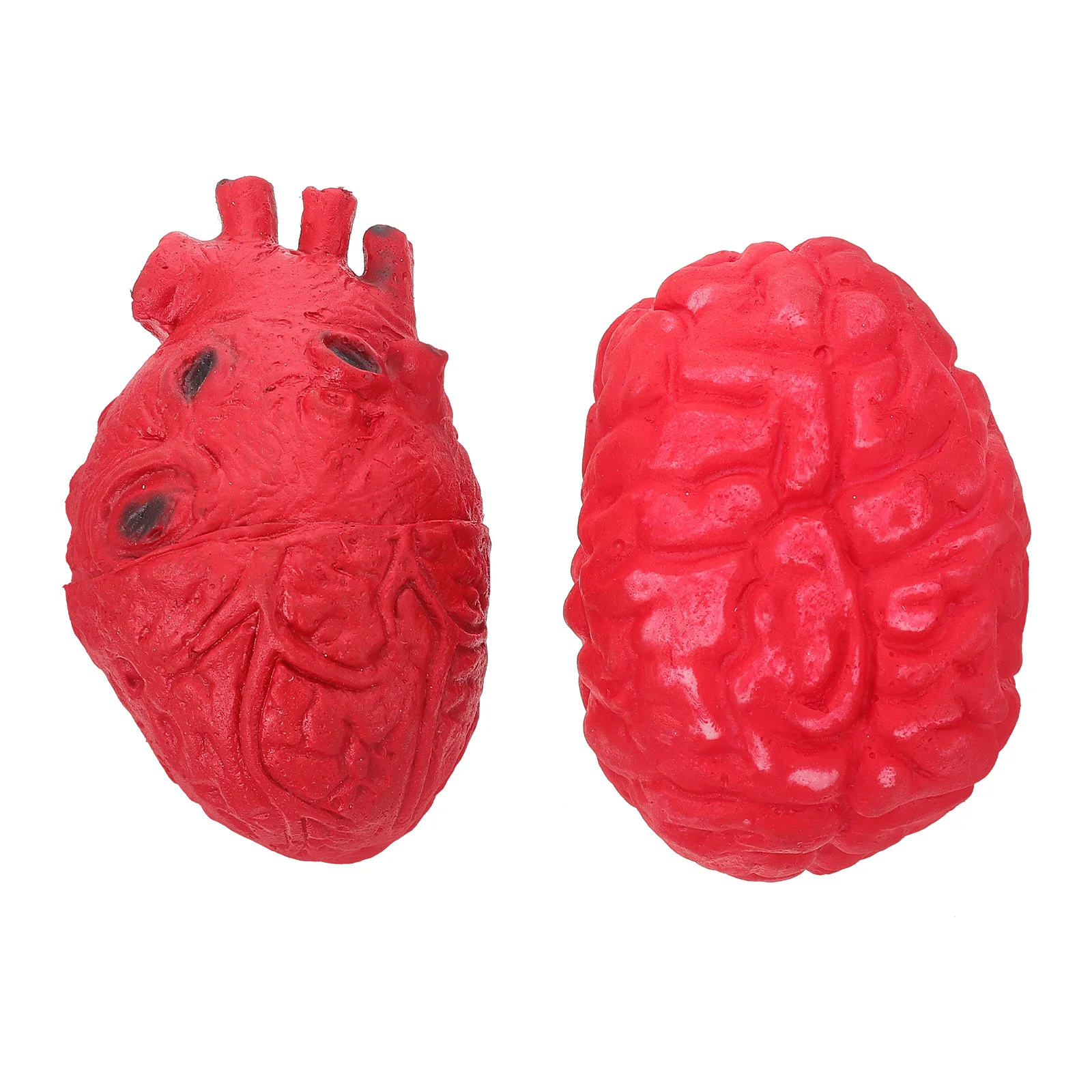 

2 Pcs Body Props Simulated Brains Decor Model Fake Tablescape Lifelike Heart Ornament Decorate Halloween Ornament
