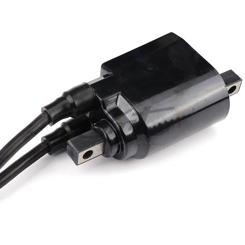 Рисунок 3 - Катушка зажигания SEA-DOO 278000202