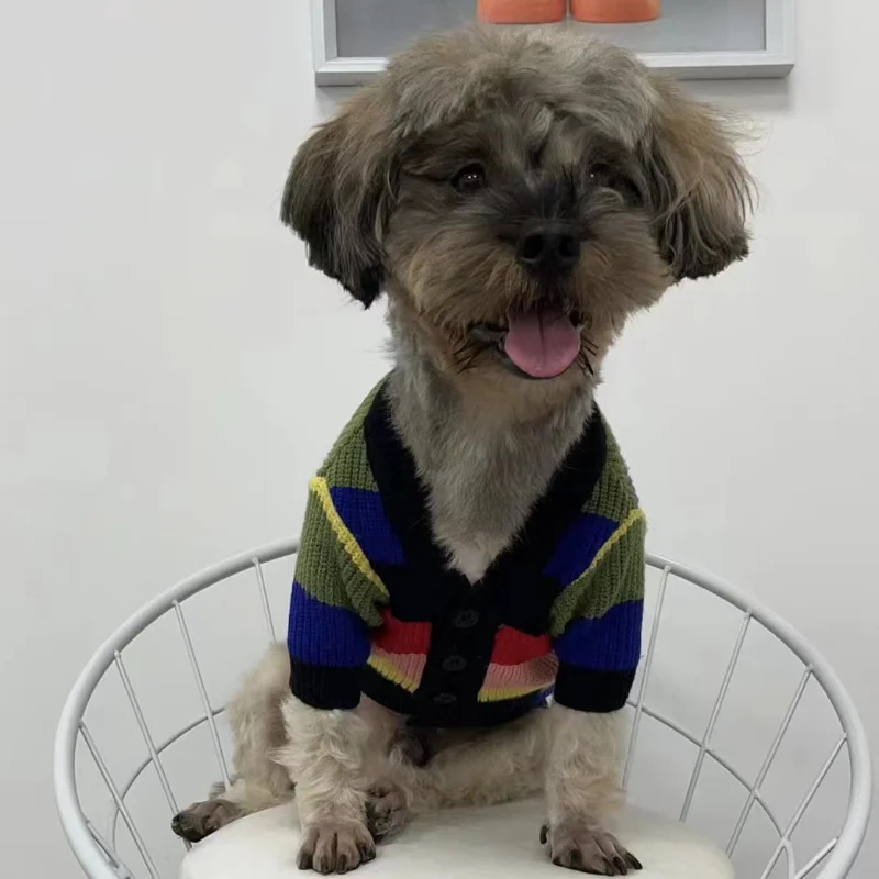 

Одежда для собак Разноцветные полосатые вязаные свитера для собак Одежда для кошек маленькая Зимняя мода для девочек Чихуахуа товары для д...