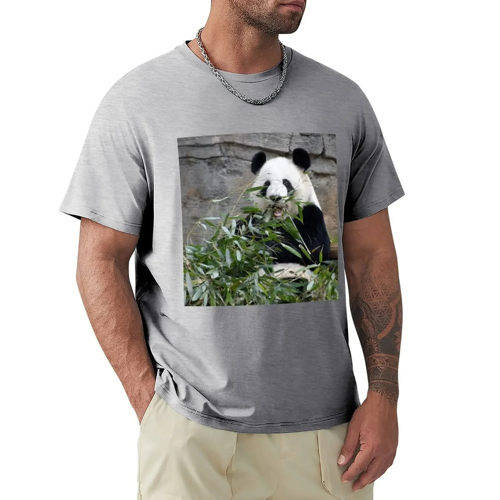 Футболки с изображением гигантской панды Лун лун в зоопарке Яркие Рубашки летняя