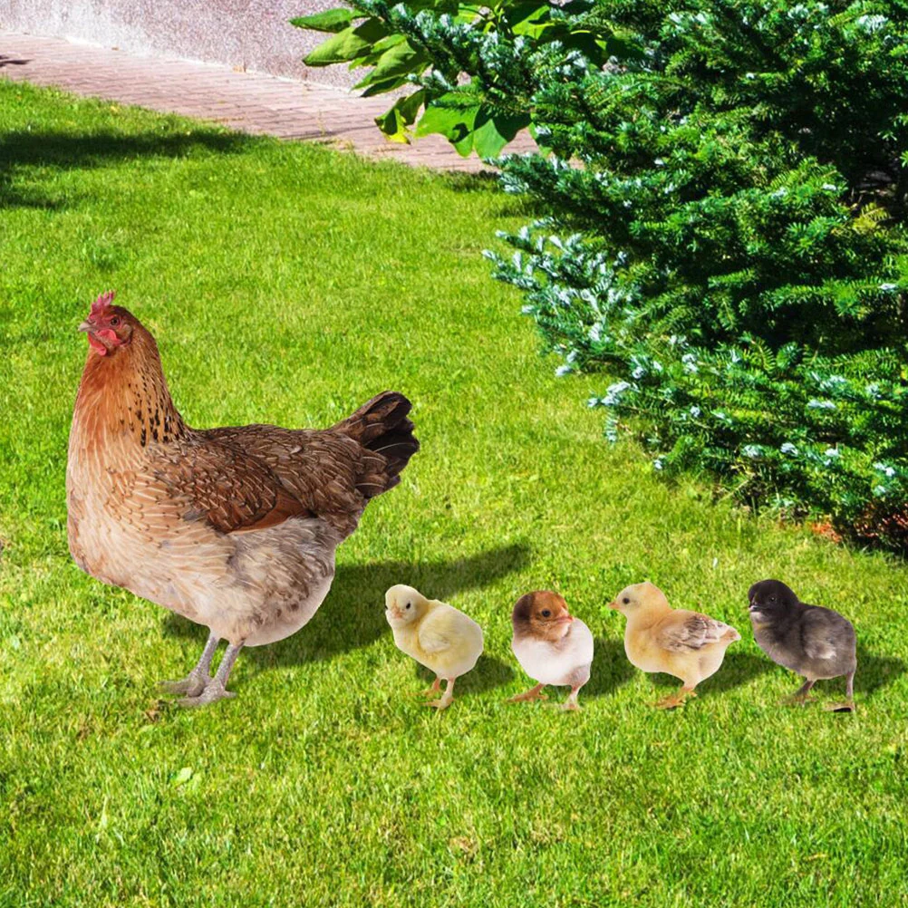 

Chicken Yards Decorative Garden Acrylic Sign Lawn Decoration Japanese Decorations