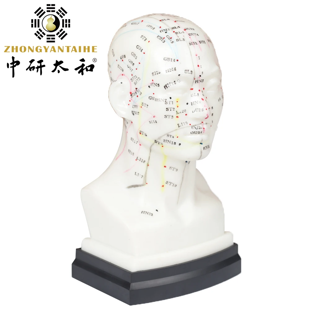 Zhongyan Taihe 1 шт. мягкая ПВХ голова акупунктурная модель акупунктурные иглы для