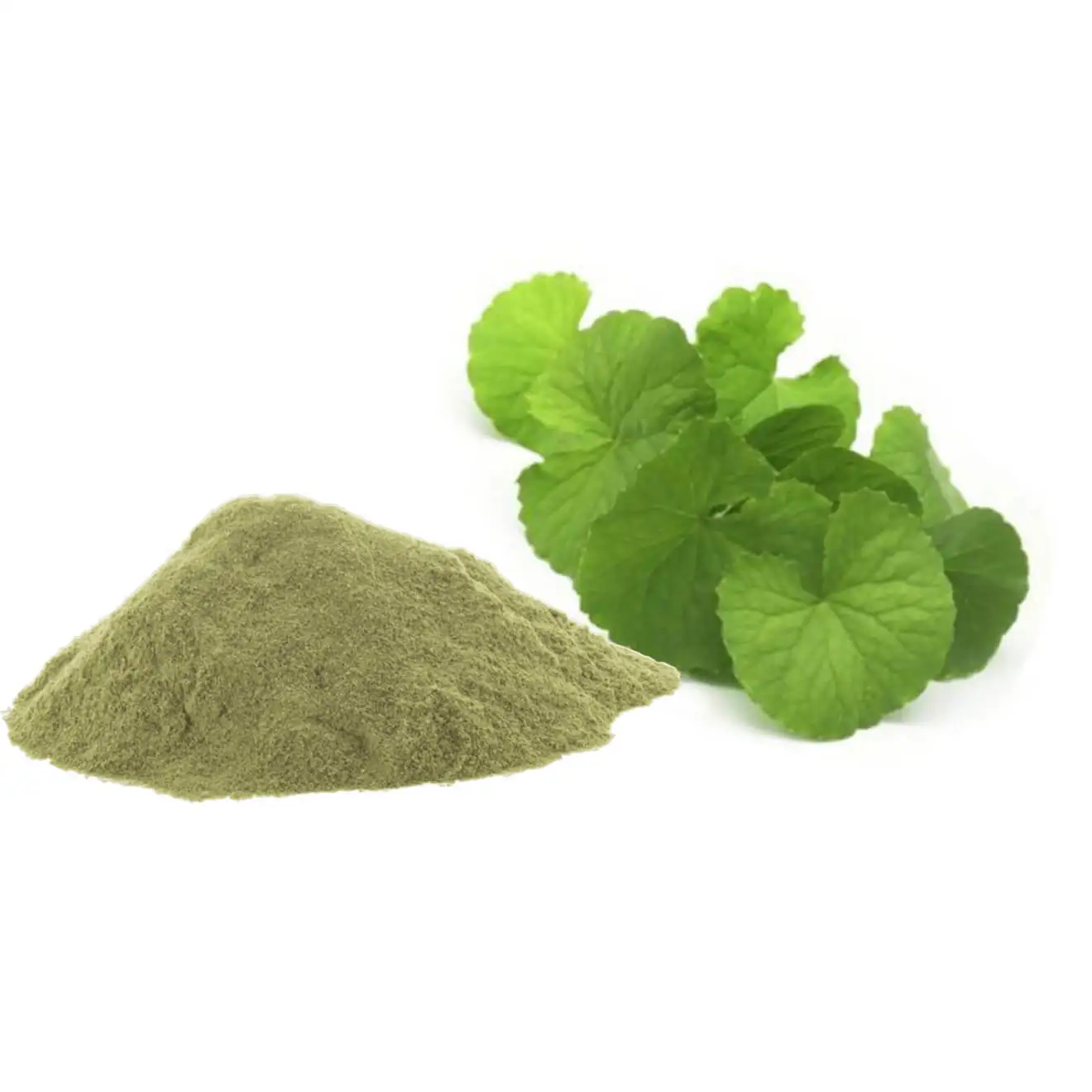 

Natural Bacopa Monnieri extractive Powder 50% Bacosides (100 % Pure) 500g