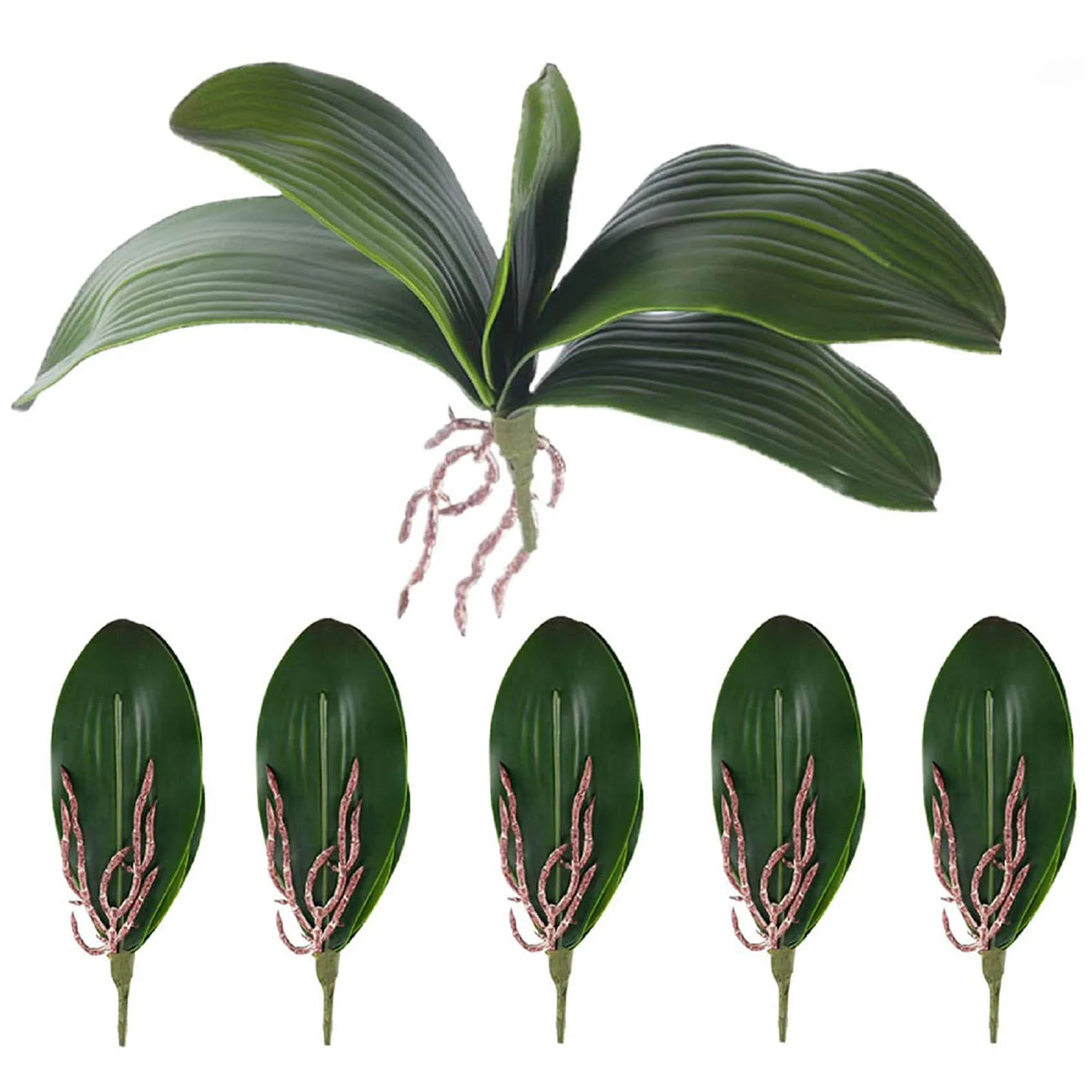 

Phalaenopsis Orchids Leaves Artificial Real Looking Roots Latex Contact Plants Green Faux Leaf Arrangement 6 PCS