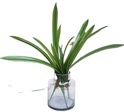 

3pcs Artificial Flower PU Green Planting Orchid Leaves Home Living Room Floor Decorative Fake Leaves Wedding DIY Road Decoration