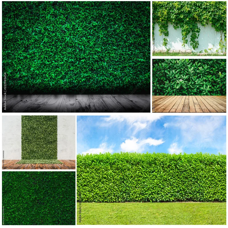 Природный пейзаж Фотография реквизит зеленая трава и голубое небо с белыми