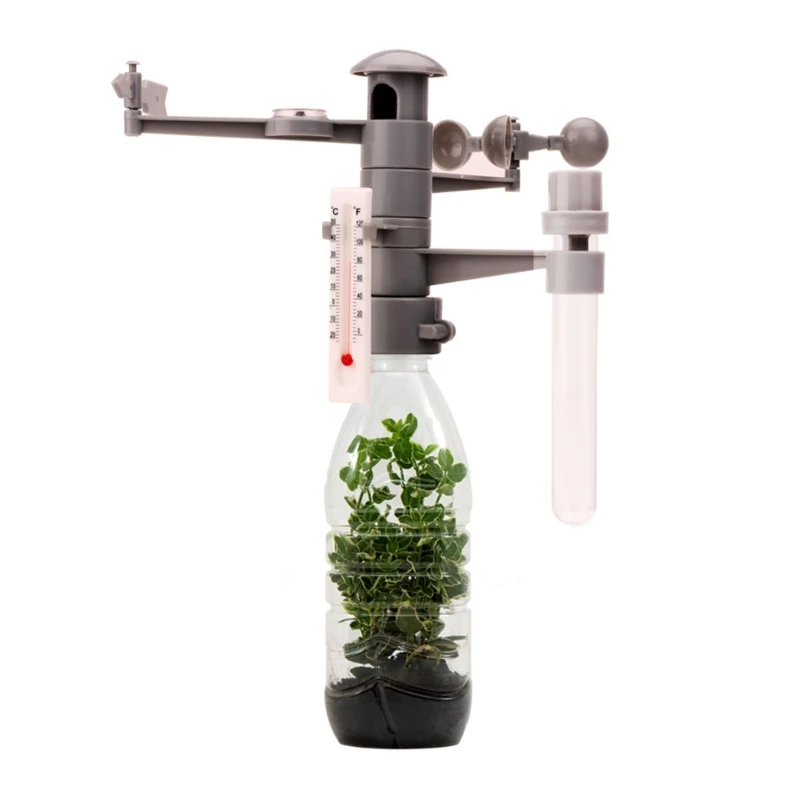 

DIY Toy Set Teaching Aids for Plant Observation Dropship