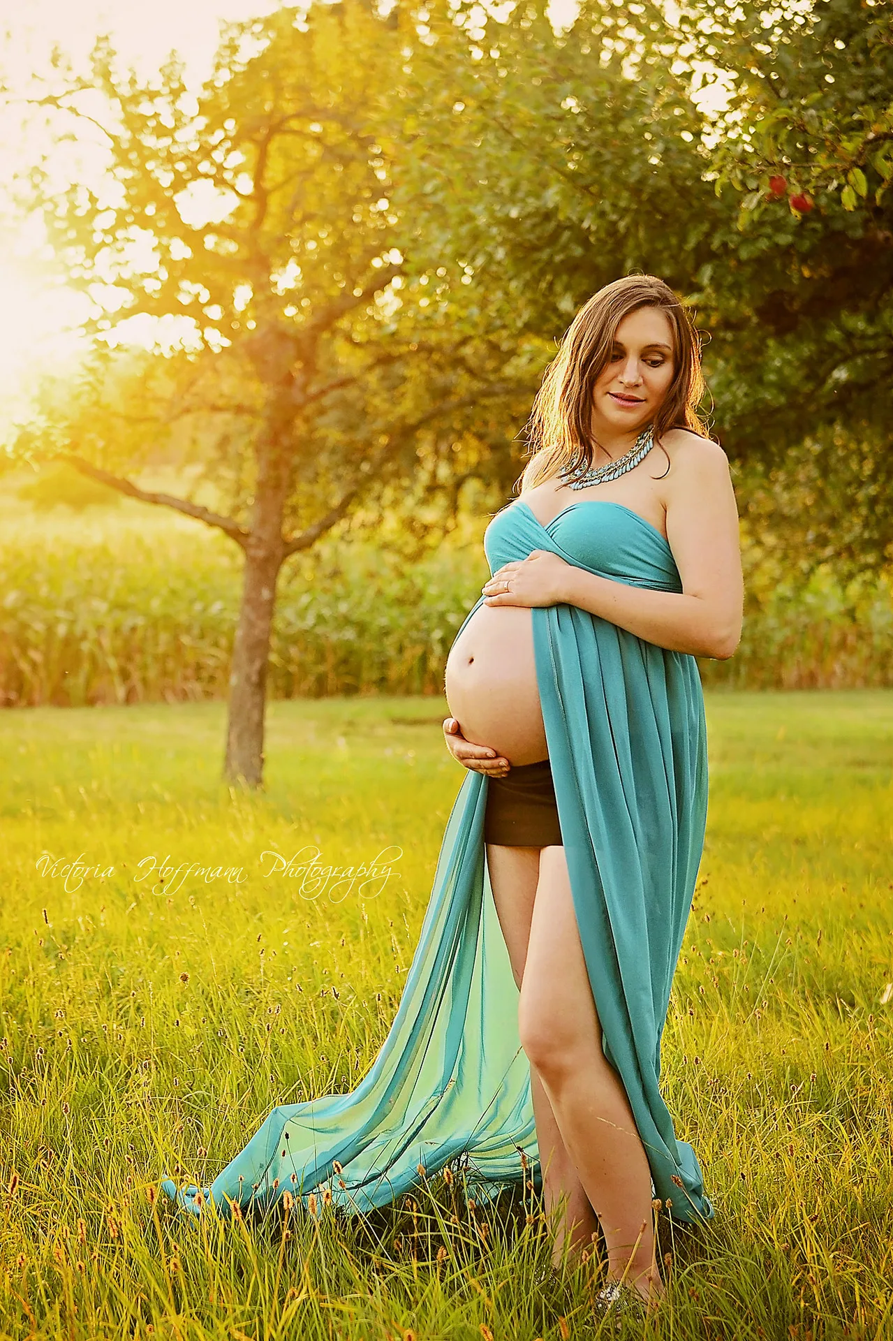 

Maternity dress foreign trade maternity dress 9983