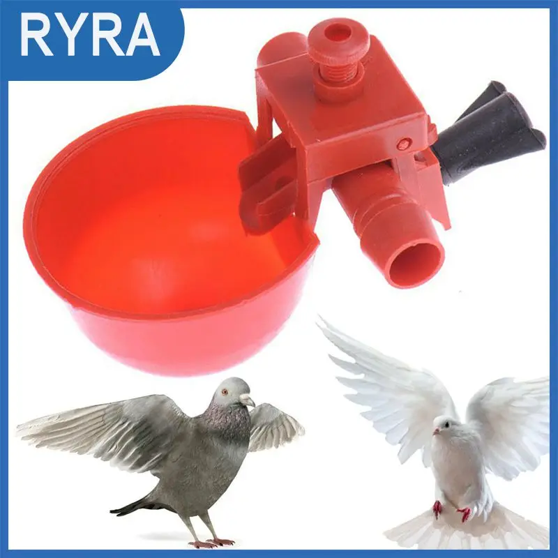 

For Chickens Feeder Red Quail Chick Feed Cup Automatic Birds Bowls And Cups Poultry Drinker Drinking Cups Waterer Bowl