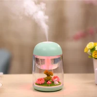 mini portable mist humidifier transparent micro landscape air humidifier spray air purifier diffuser with led lights for home