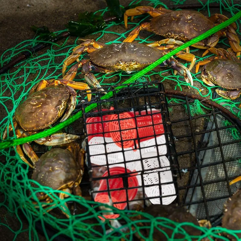 20 шт. клетка для рыболовной приманки ловушка кормушка рыбы пластиковое ведро