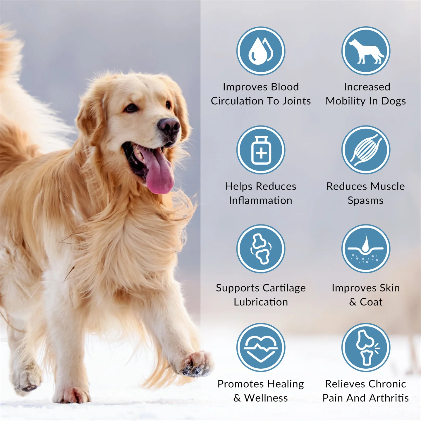 Устройство для лазерной терапии Frovab 8 Вт 808 нм * 25